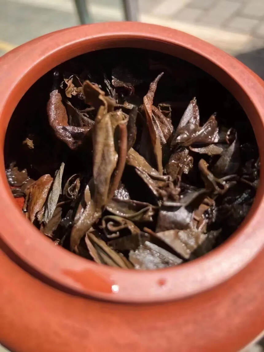 2000年景迈千年古茶树茶