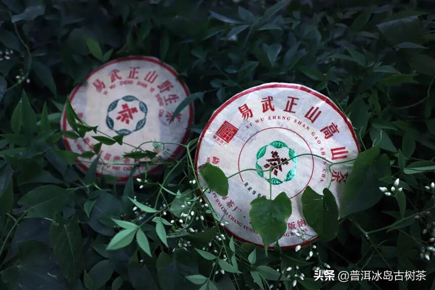 品名：福海易武正山高山茶（易武绿星星）
类别：生茶