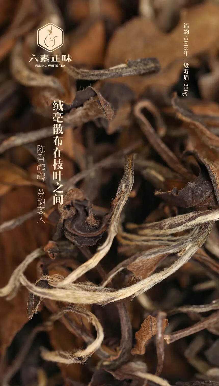 六素正味2018福韵老白茶·一级寿眉，高端散茶白茶2