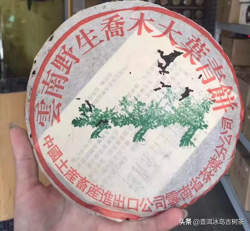 98年三棵绿大树老生茶，布朗古树纯料！野生乔木大叶青