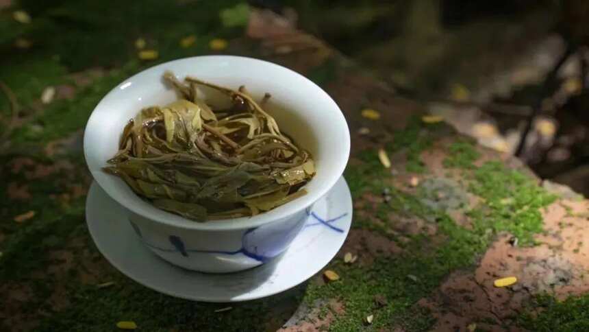 我国四大茶区是怎么划分的？各自茶区生产特点有哪些？