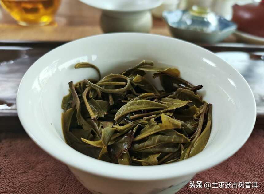 选购普洱茶，到底要选择对的？还是选择贵的？