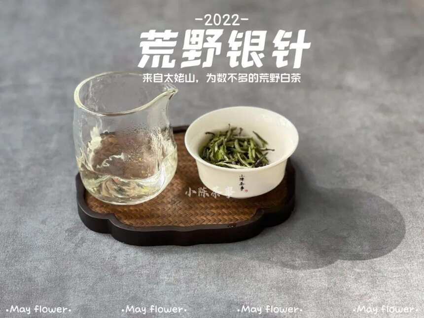 紫砂壶泡白茶，为何两冲之后茶香减弱？3点原因，你踩了哪个坑？