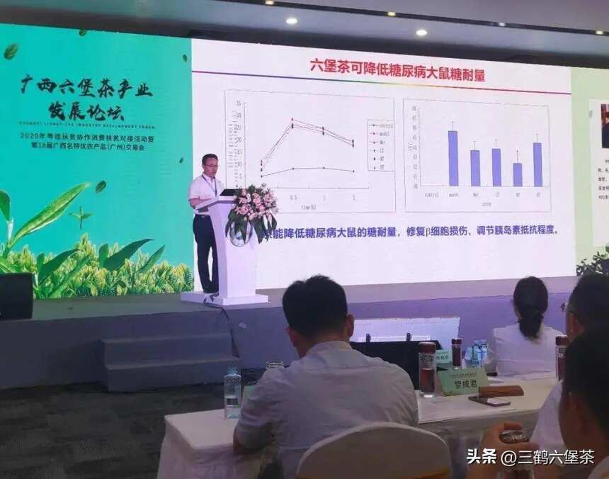 广西六堡茶大有可为！刘仲华院士为何大力推崇六堡茶