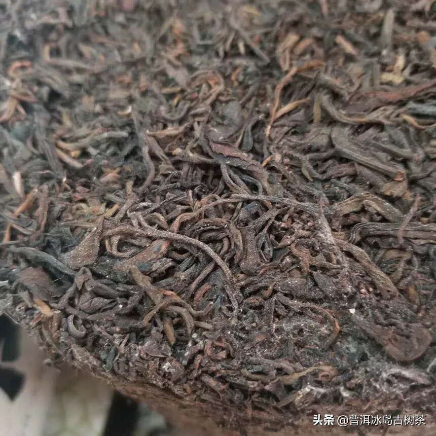 60年代樟香老生茶茶柱5000克！樟香顺滑～陈香足耐