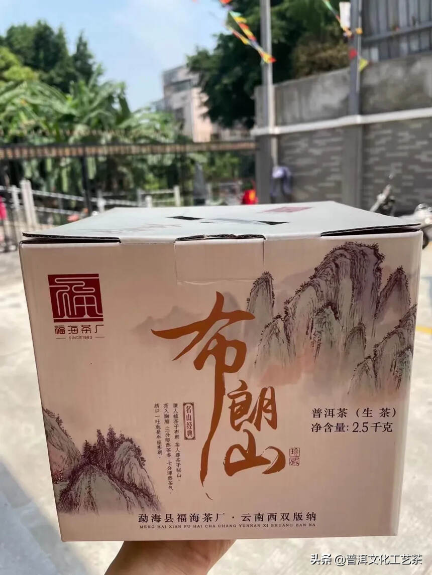 2020年福海布朗山 生茶，357克/片，7片/提，