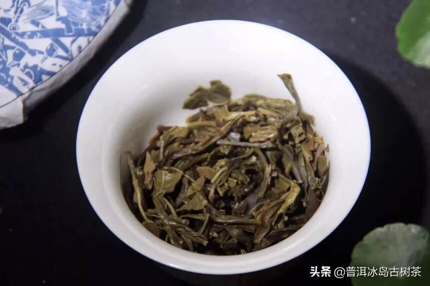2020年皇家茶园【困鹿山】古茶园中有不同品种的茶树