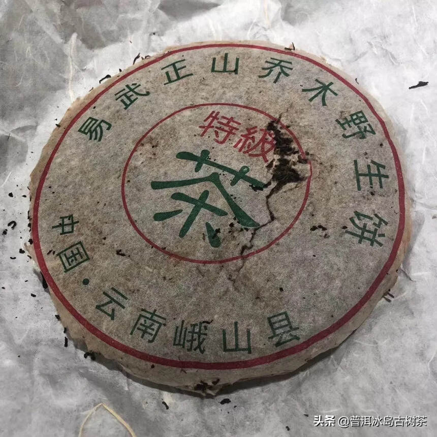 95年易武古树刮风寨乔木