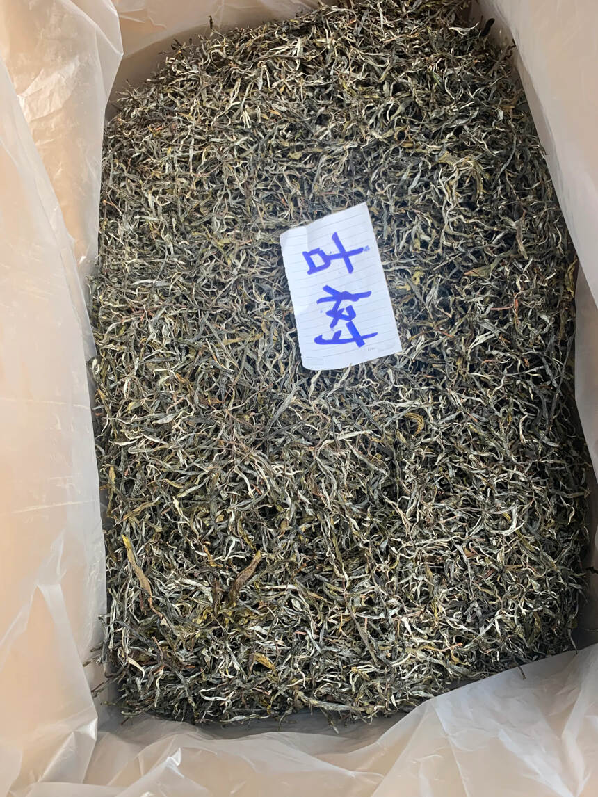 帕莎中寨犀牛塘古茶园大树、古树茶叶开始预售了，喜欢的