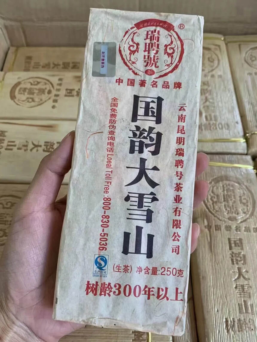 2013年瑞聘号大雪山树龄300，大西南，300年古