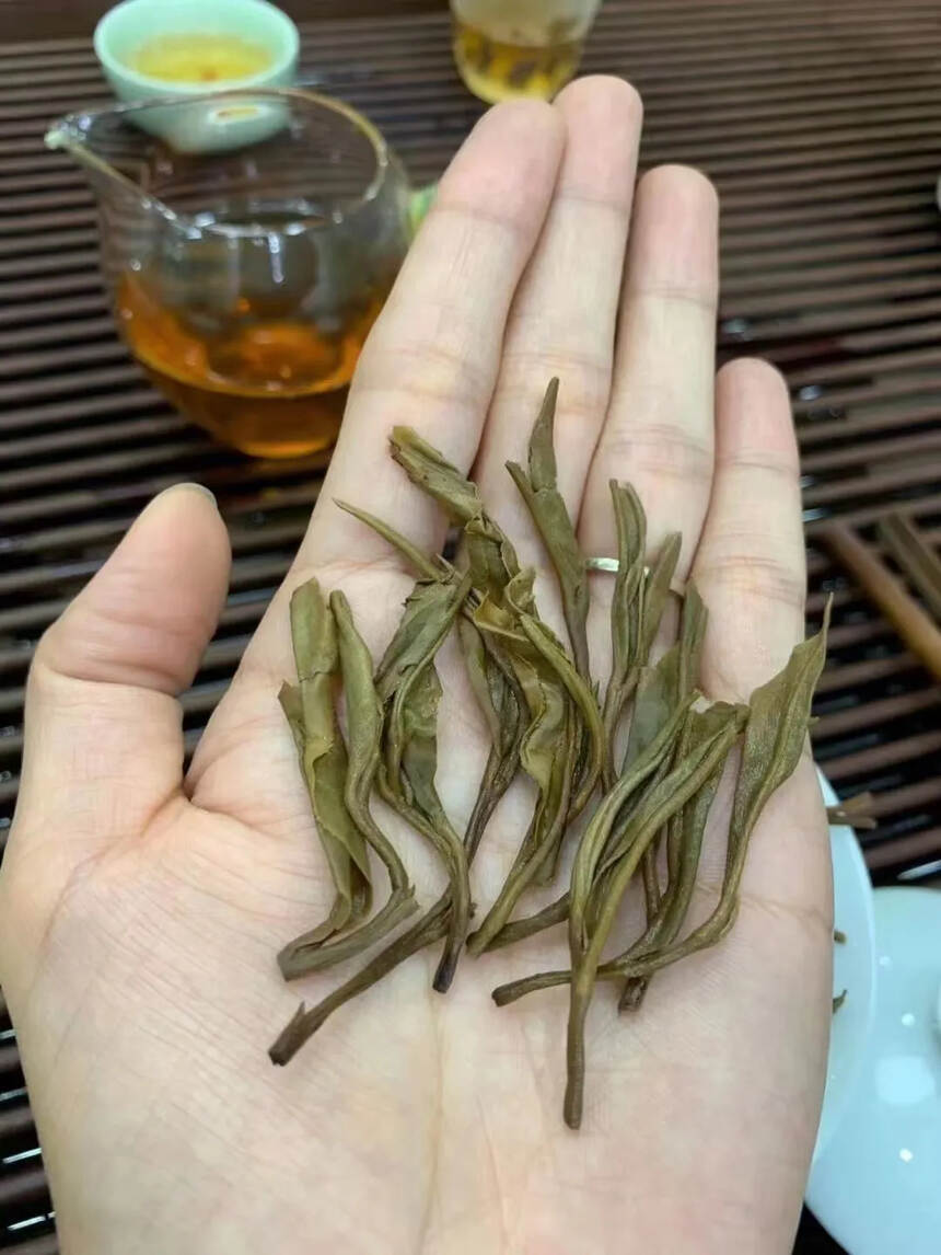 380年树龄的2015年刮风寨，
易武茶区标杆山头之