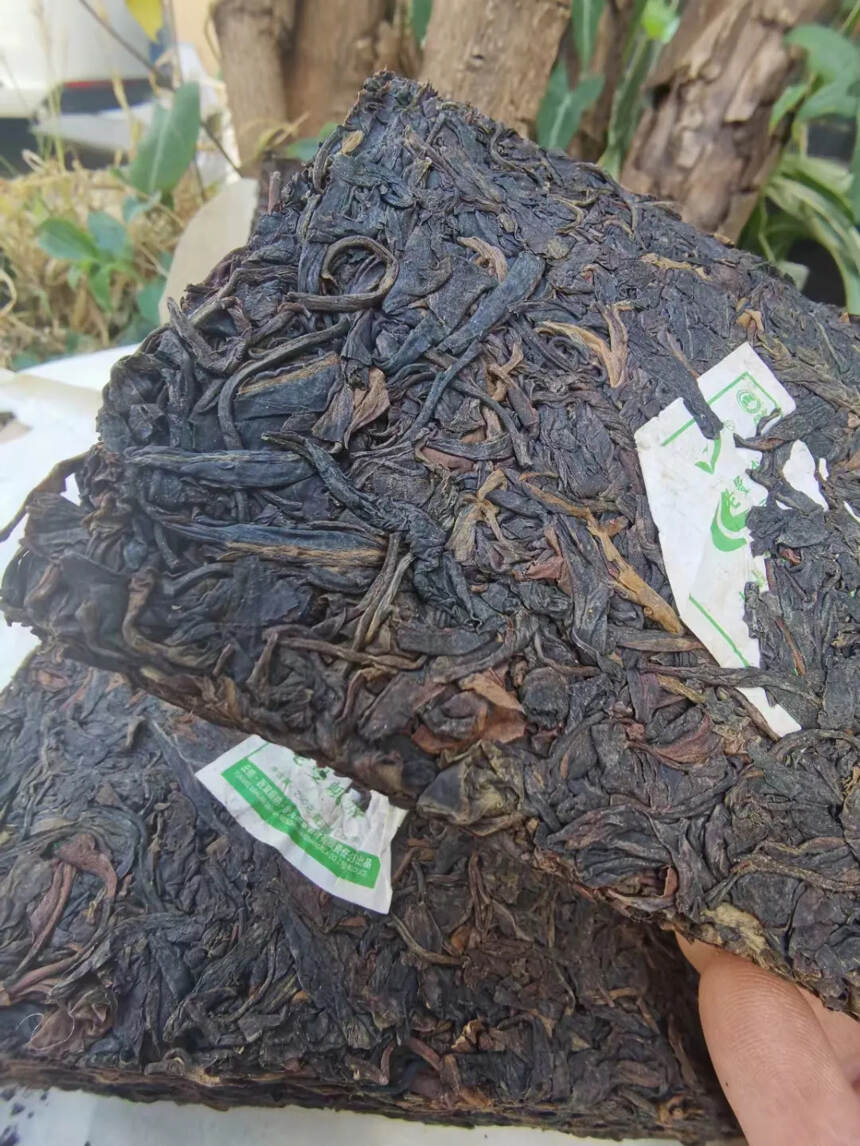 【老曼峨】纯正的野生茶 品质保证
2005年的原料