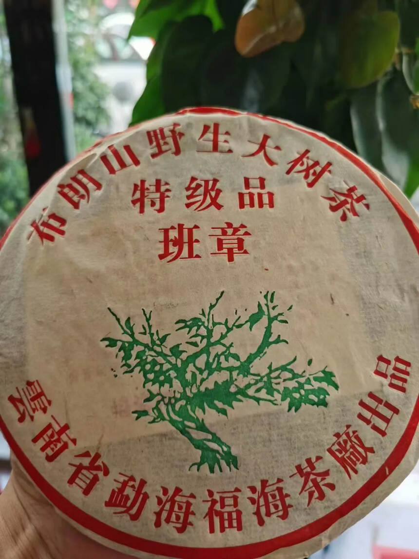 2005年福海班章大树，纯正昆明干仓
杯底梅子香带着