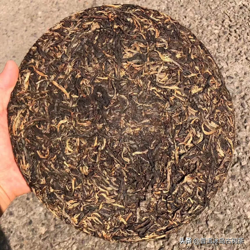 08年班盆古树，1000克纯料生茶！做茶以来自己压制