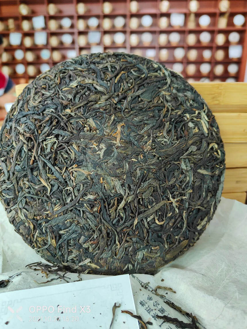 2015年头春忙肺古树生茶，极致好茶#古树普洱茶#