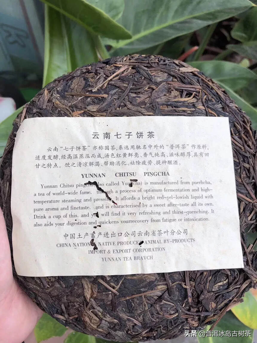 99年中茶黄印老班章橡筋老生茶，选料偏大树！华联公司
