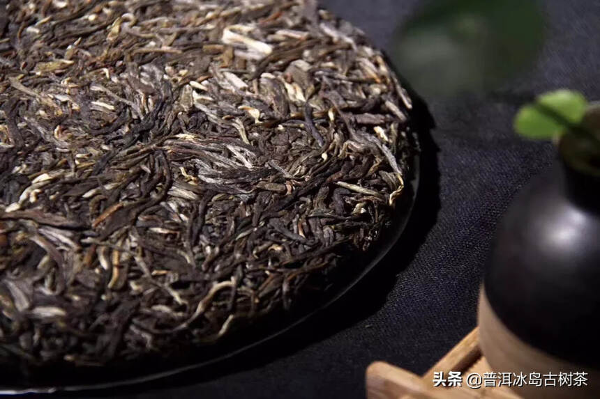 2020年皇家茶园【困鹿山】古茶园中有不同品种的茶树