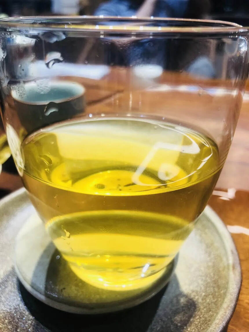 白茶园，好生态出好茶，有喜欢的吗？#古树普洱茶# #