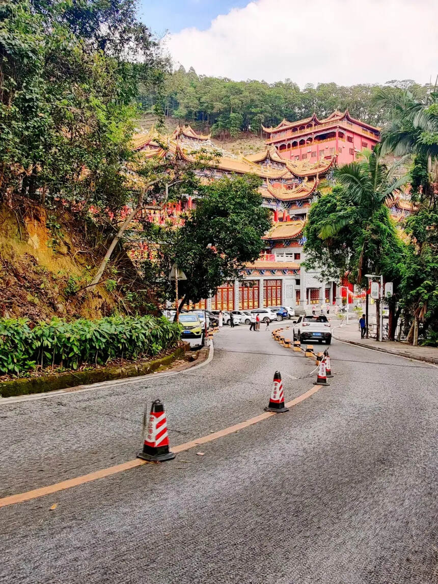 大岭山森林公园
蓝天白云，阳光正好