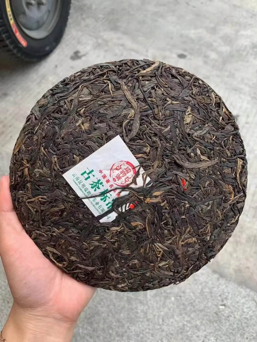 380年树龄的2015年刮风寨，
易武茶区标杆山头之