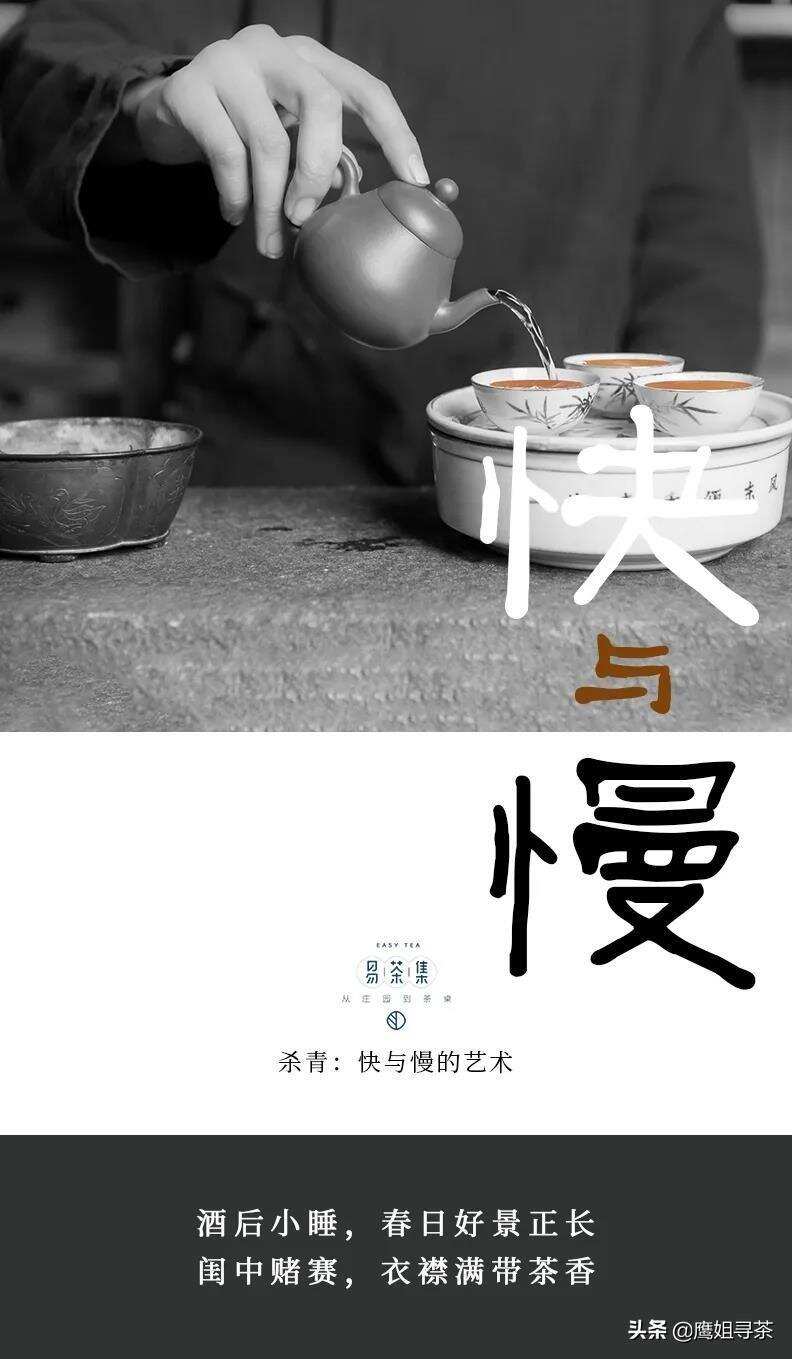 「易茶杂谈」你不知道普洱茶的那些事~01