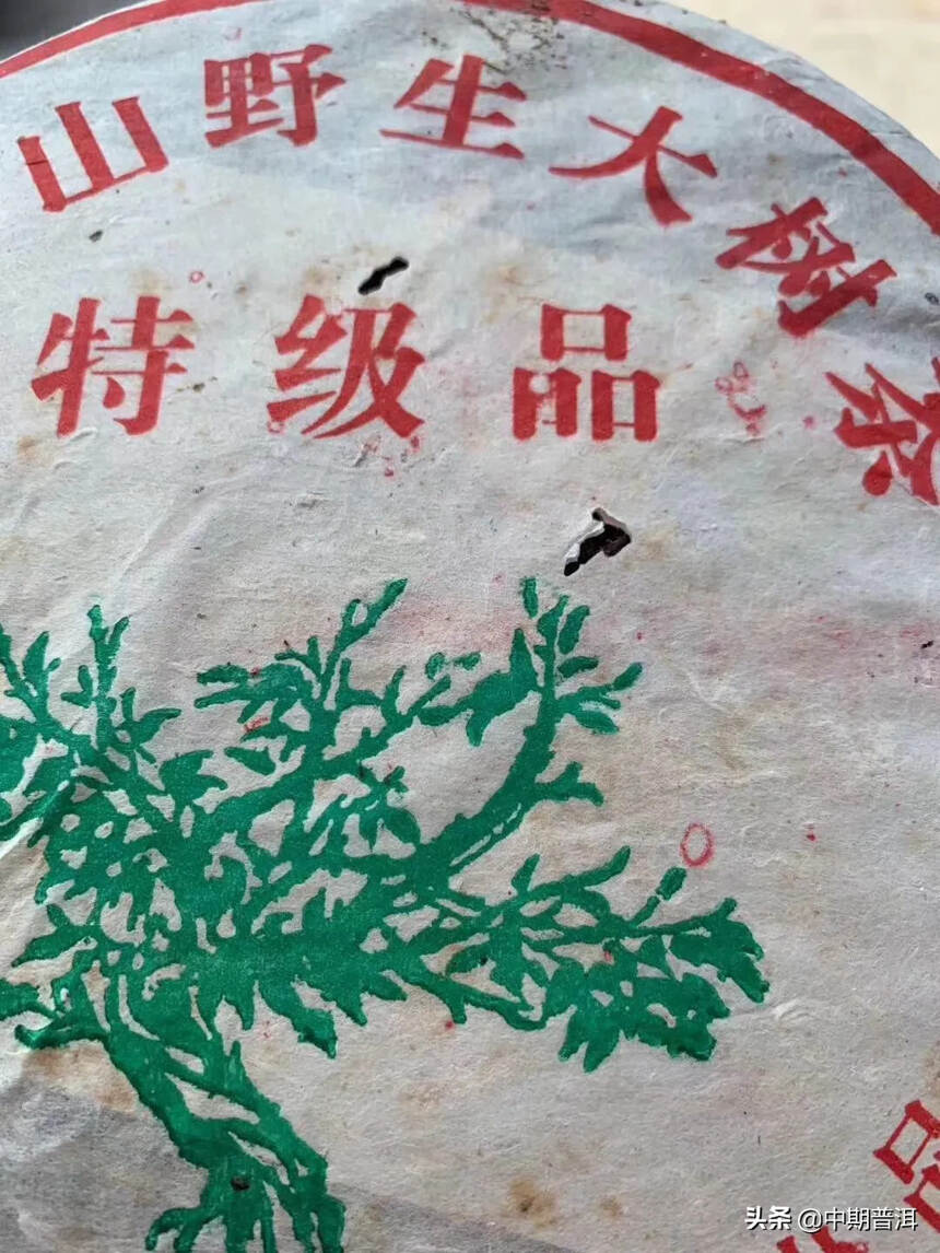 2005年福海曼夕山绿大树以罕有梅子香惊艳展现
