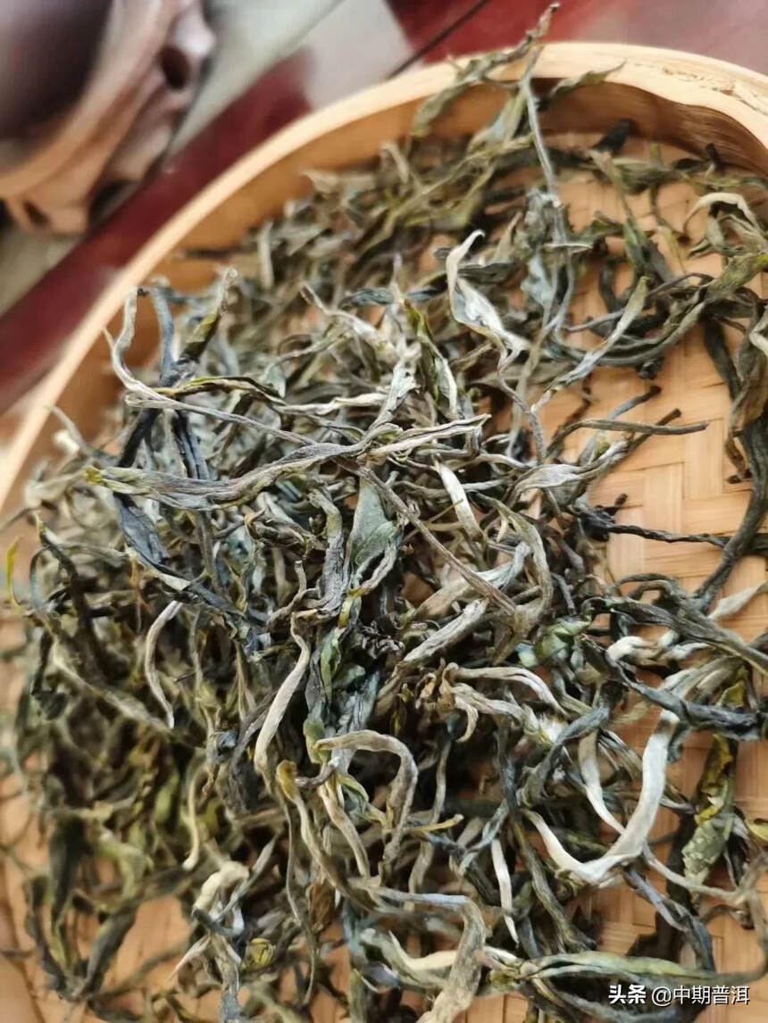 老班章散茶