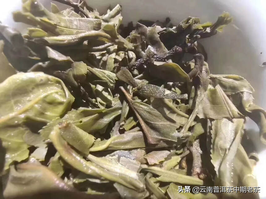 19年景迈螃蟹脚 #茶饼# #茶叶# ———————