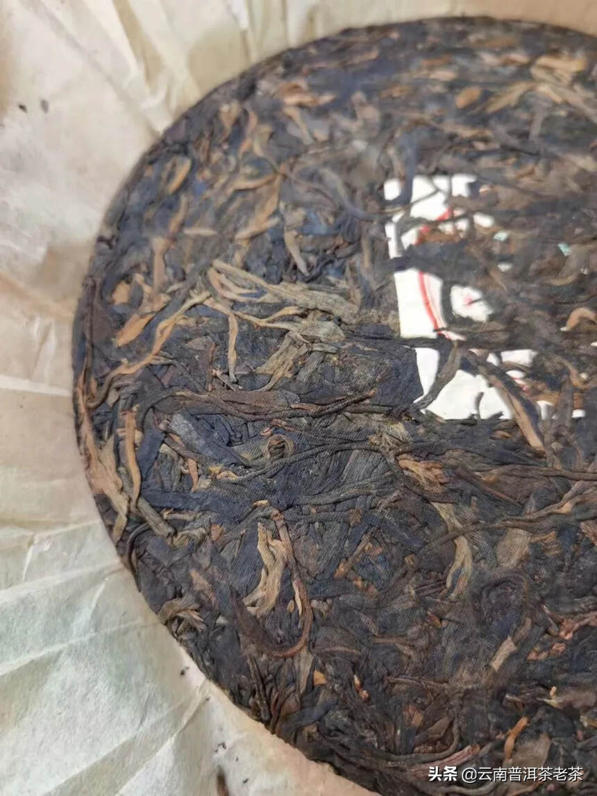 99永聘号六大茶山集合，一提6饼，分别选用六种茶原料