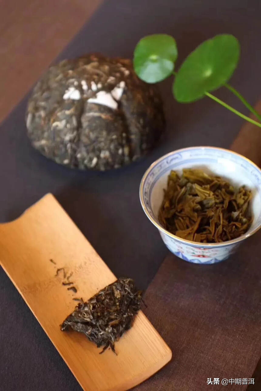 冰岛金瓜精选冰岛古茶园中优质古茶树的鲜叶为原料，经精