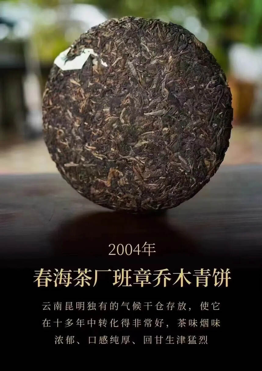 [2004年春海茶厂班章乔木青饼]————茶味烟味浓