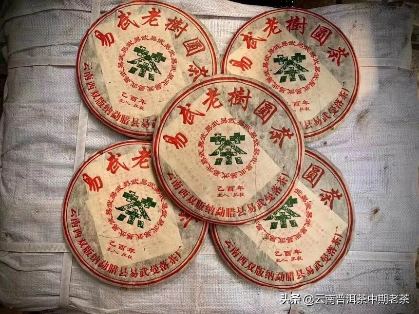 易武老树圆茶，叶底肥厚粗壮，入口甜润，回甘生津明显