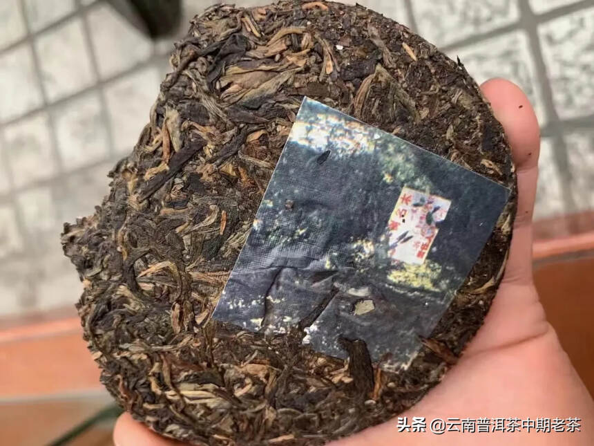 2000年茶王树釆用云南【江楼箐、无量山】古树名木，