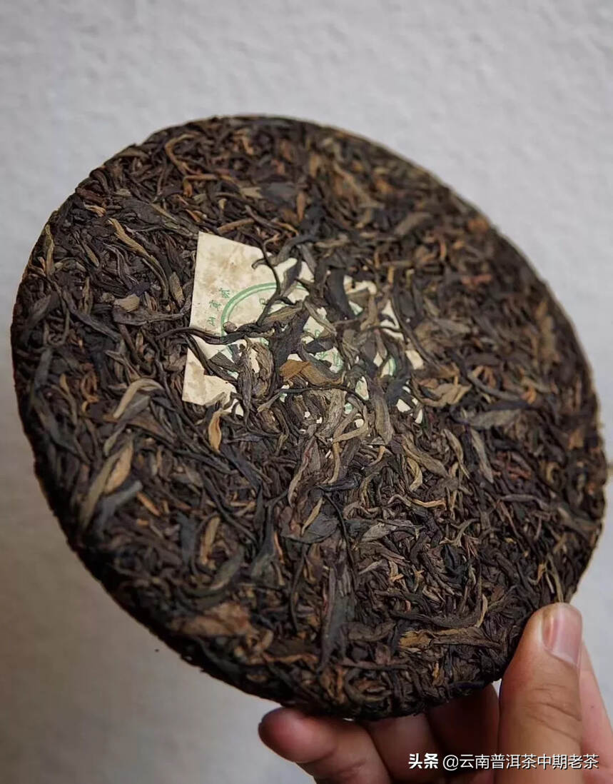 班章普洱生茶——


——标准的大叶种茶，有强烈的山