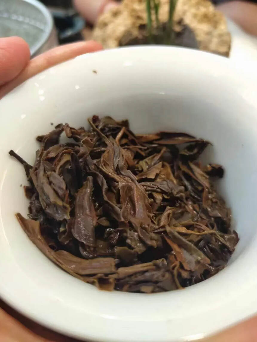 1996班章老茶，条索均匀显豪，里外一口料，陈香明显