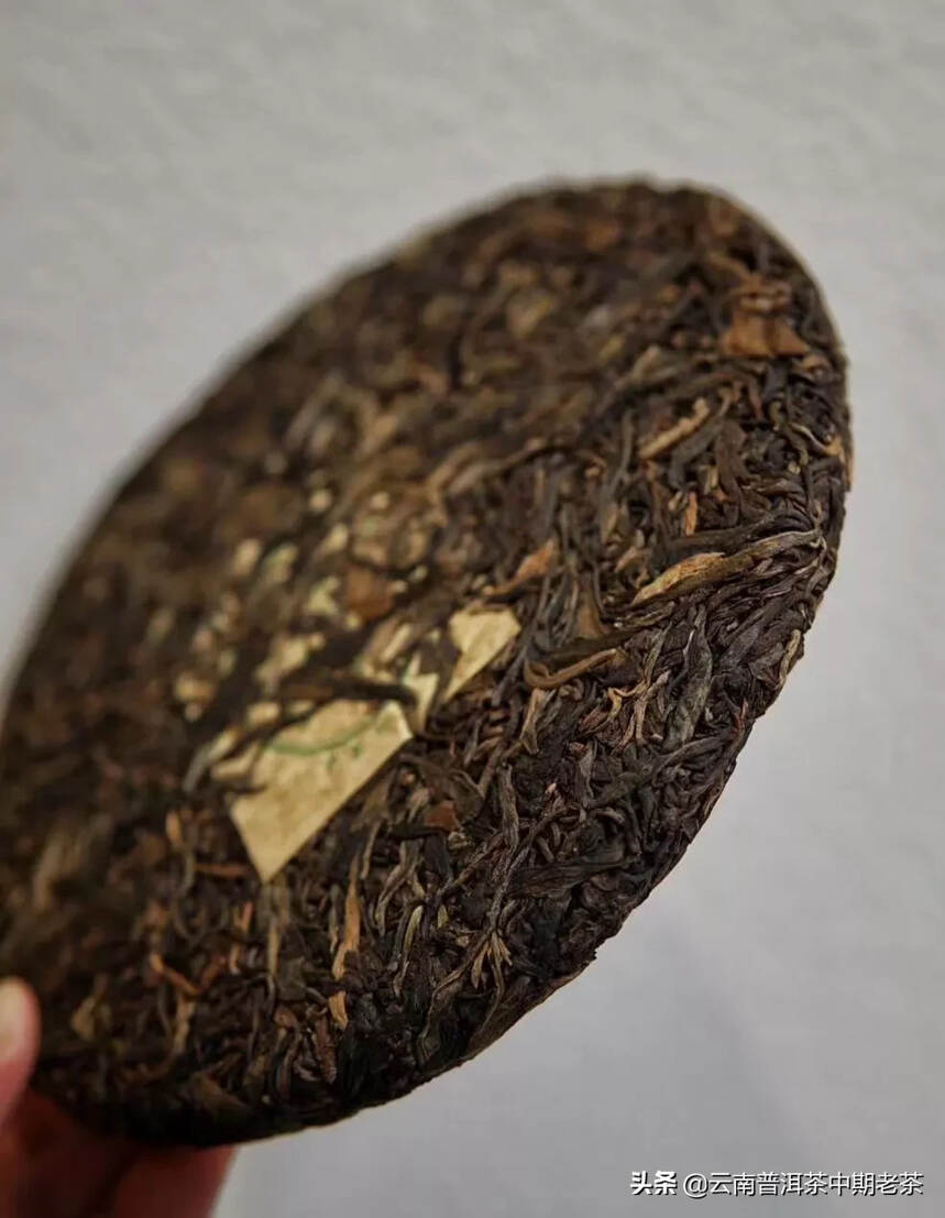 班章普洱生茶——


——标准的大叶种茶，有强烈的山