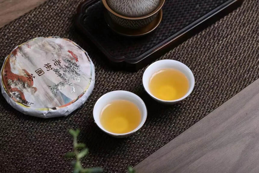 #普洱茶# 冰中岛2021老树圆茶200克/饼#茶生