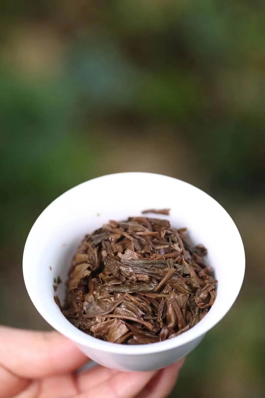 #普洱茶# 一九九九年花园茶厂独批【金冠班章圆茶】#