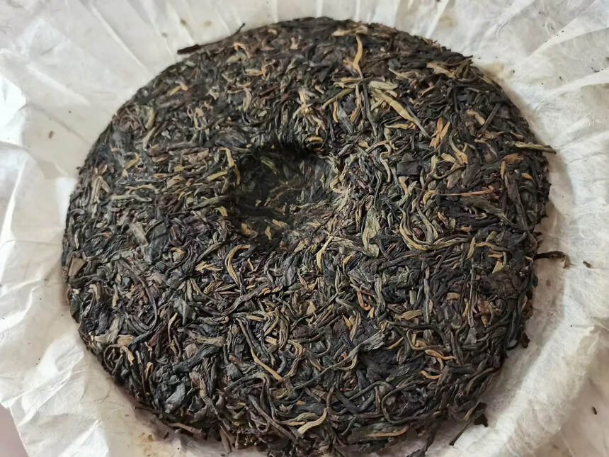 2013年兴海茶厂-布朗乔木孔雀#广州头条# #深圳