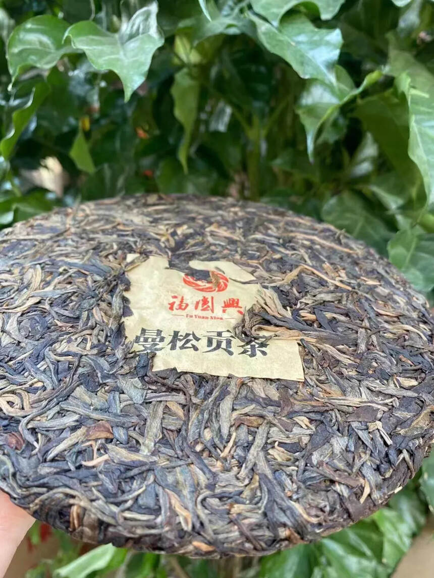 #普洱茶# 曼松古树茶?古代皇帝指定为贡茶品名：曼松