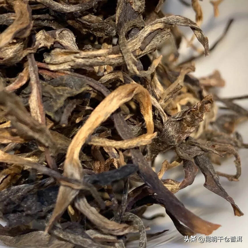 2015年老曼峨大树茶散茶，有一筐20公斤左右！条形