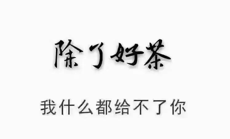 #普洱茶# 2012年老同志绿色方圆女儿青饼#茶生活