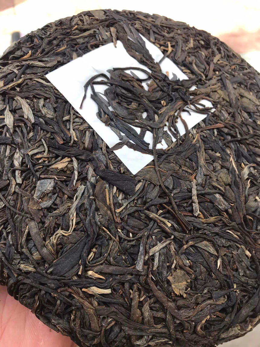 2016年大雪山生茶，古树茶纯料！香蜜浓甜，口粮茶中