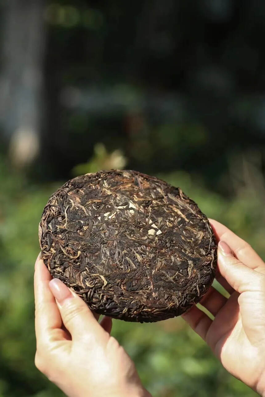 05年勐海县班章茶厂班章生态孔雀饼尾水密甜，耐泡度很