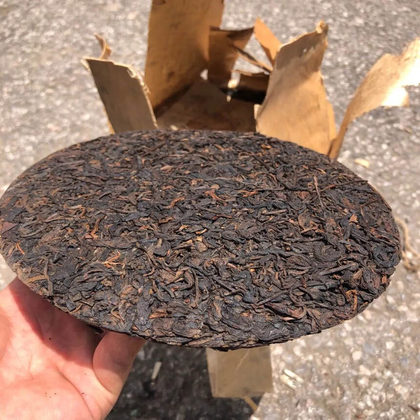 70年代江城茶庄老生茶，易武古树纯料#普洱茶# #发