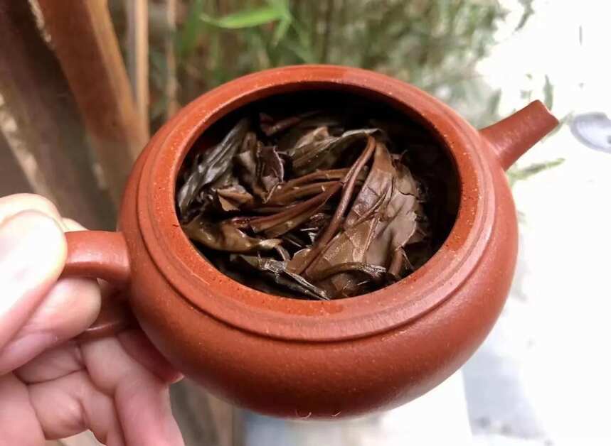 #茶生活# 普洱茶岁月浸染。茶味很浓郁，入口的饱满度