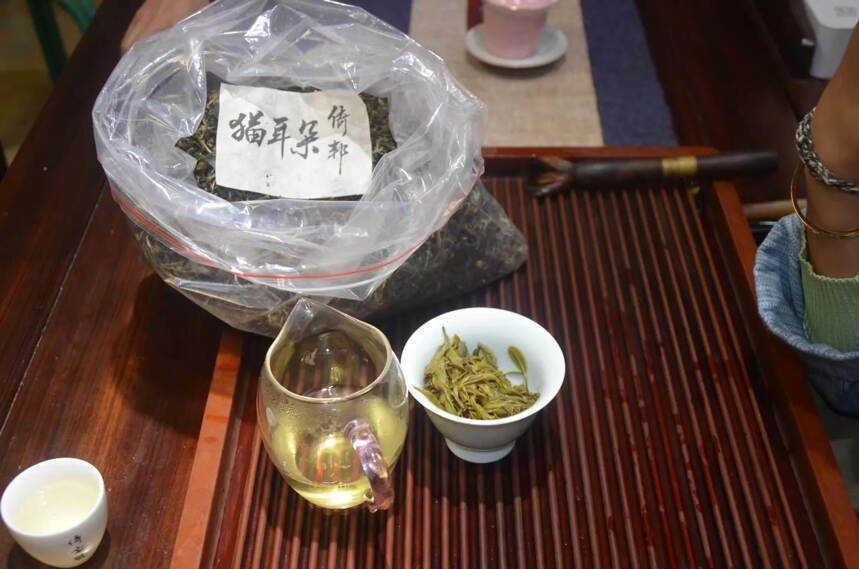 2022年倚邦猫耳朵小叶种茶#广州头条# #深圳头条