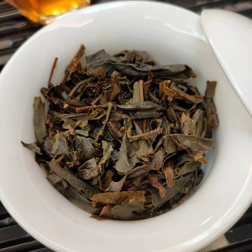 02年凤庆香竹箐茶王树，老粽包#广州头条# #深圳头