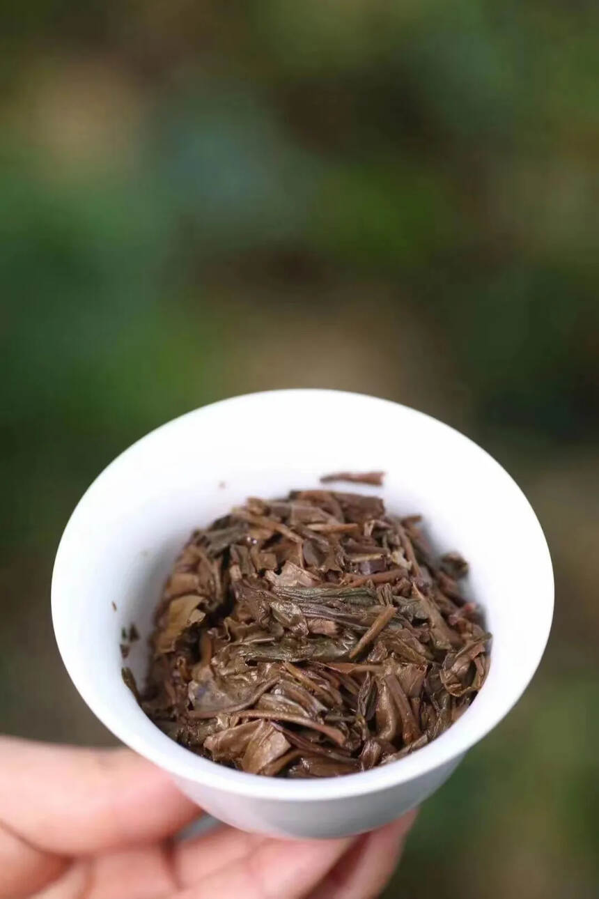 #普洱茶# 一九九九年花园茶厂独批，金冠班章圆茶#茶