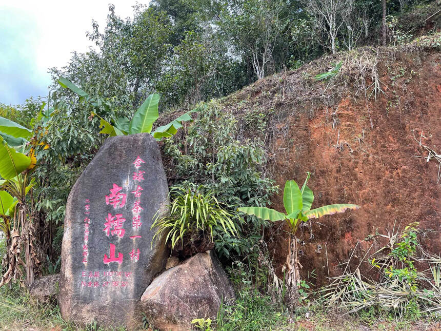 古人说春茶苦，夏茶涩要好喝秋白露，这里秋白露指的就是